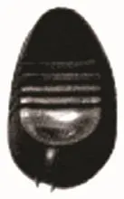 AÇMA KOLU MTJ 3004