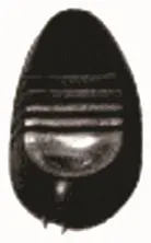AÇMA KOLU MTJ 3005