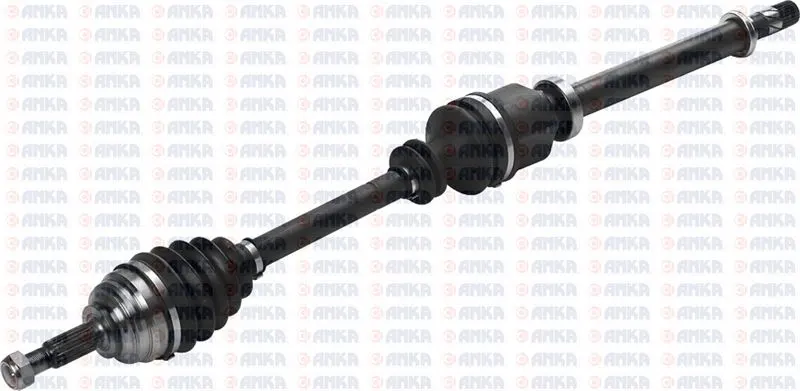 AKS ANKA 10100010