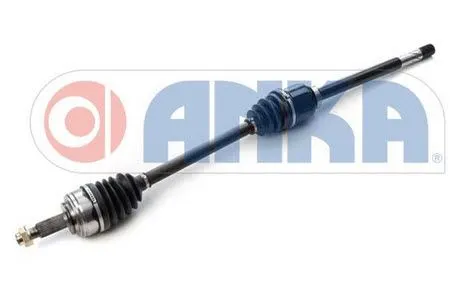 AKS ANKA 10100011