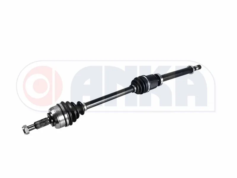 AKS ANKA 10100013