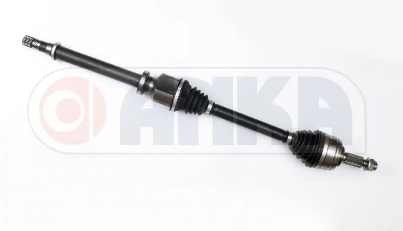 AKS ANKA 10100017