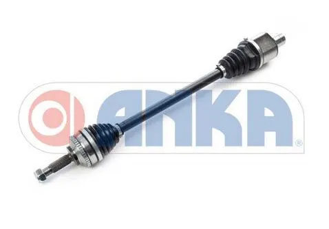 AKS ANKA 10101011