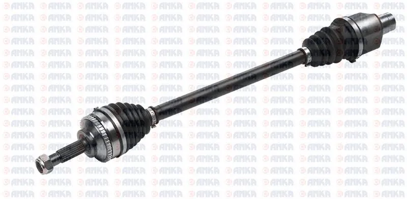 AKS ANKA 10102008