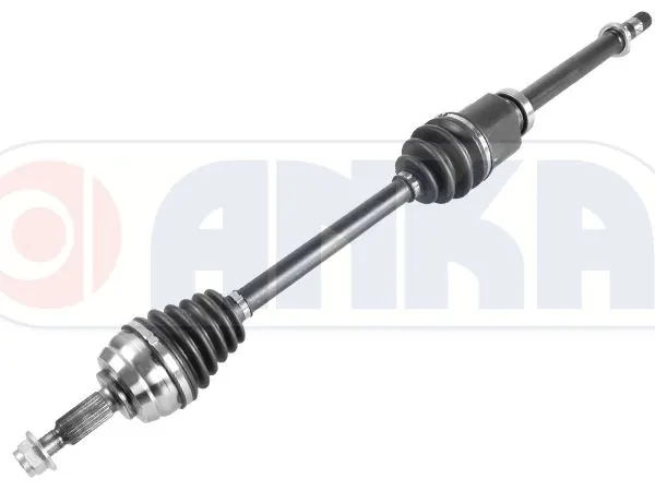 AKS ANKA 10110005