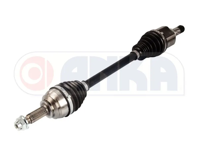 AKS ANKA 10110011