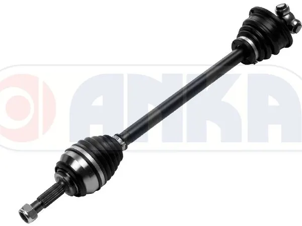 AKS ANKA 10111006