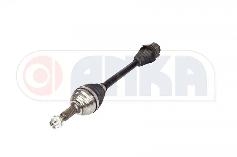 AKS ANKA 10111009