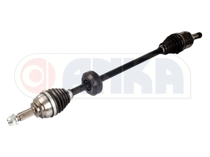 AKS ANKA 10111011