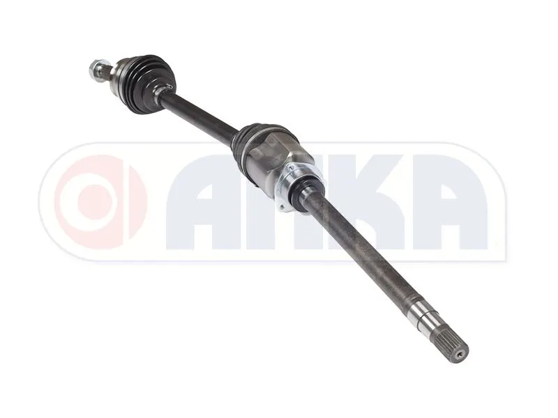 AKS ANKA 10280002