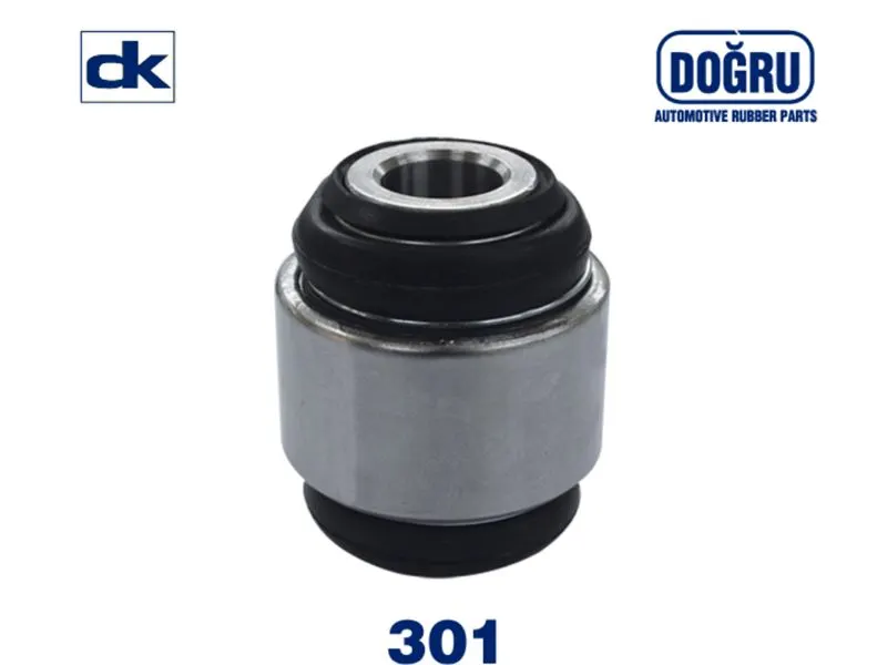 AKS BURCU DOGRU 0301