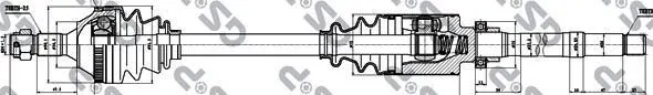 AKS GSP 245156