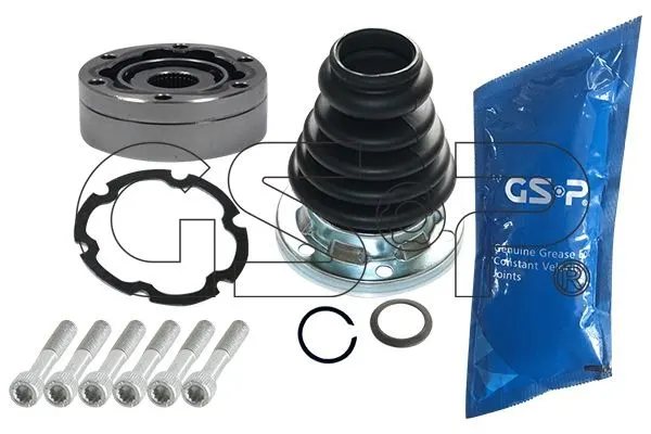 AKS KAFASI GSP 603009
