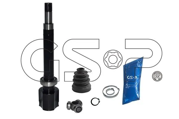 AKS KAFASI GSP 618274