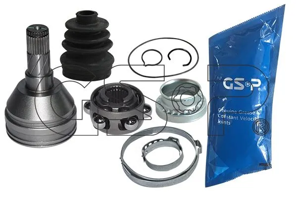 AKS KAFASI GSP 644008