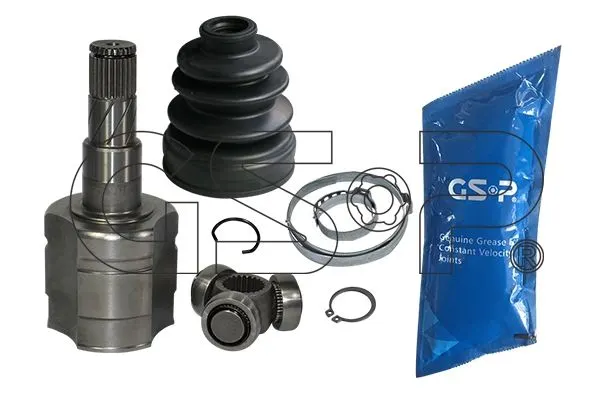 AKS KAFASI GSP 644012