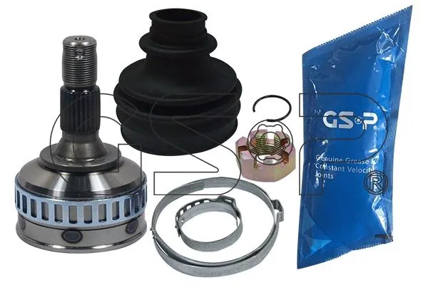 AKS KAFASI GSP 810022