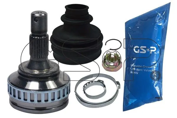 AKS KAFASI GSP 810076