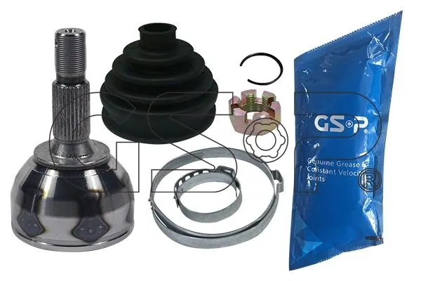 AKS KAFASI GSP 810098