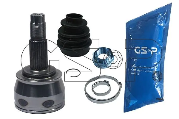 AKS KAFASI GSP 817068
