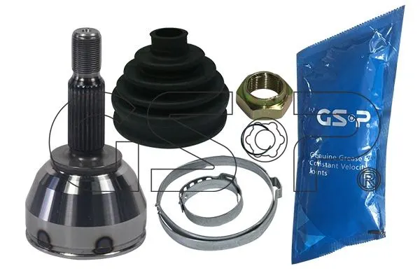 AKS KAFASI GSP 818067