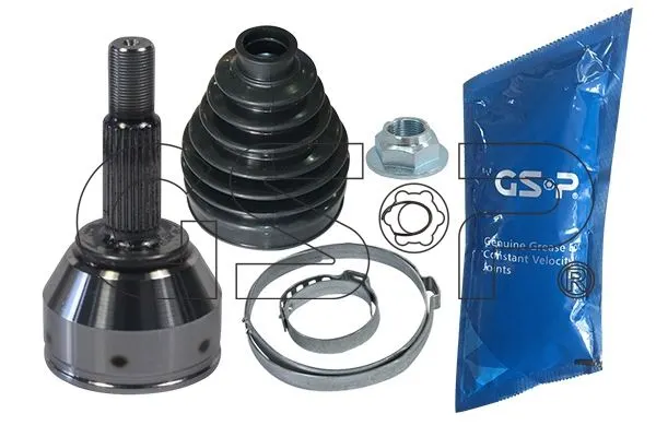 AKS KAFASI GSP 818207