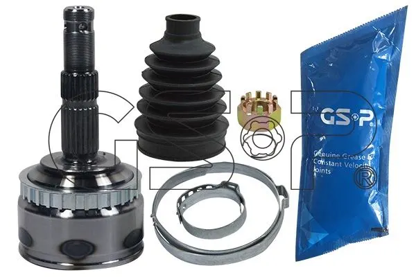 AKS KAFASI GSP 844002