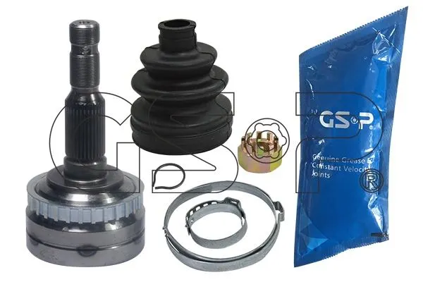 AKS KAFASI GSP 844011