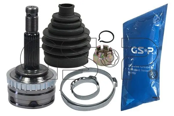 AKS KAFASI GSP 844013