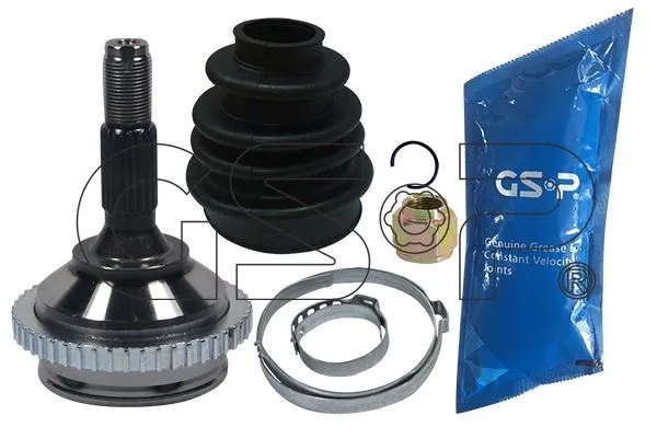 AKS KAFASI GSP 845033