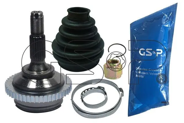 AKS KAFASI GSP 845067