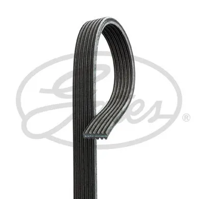 ALTERNATÖR V KAYIŞI GATES 6DPK1817