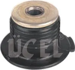 BEŞİK BURCU UCEL 10410