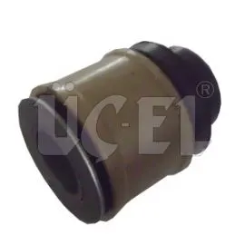 BEŞİK BURCU UCEL 10672