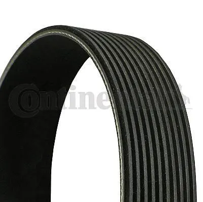 CONTITECH - Ağır Vasıta ALTERNATÖR V KAYIŞI CONTI 10PK1460