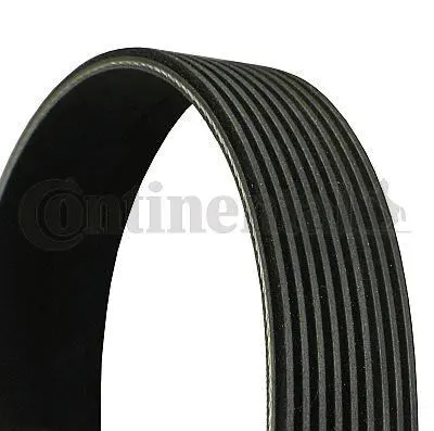 CONTITECH - Ağır Vasıta ALTERNATÖR V KAYIŞI CONTI 9PK2080