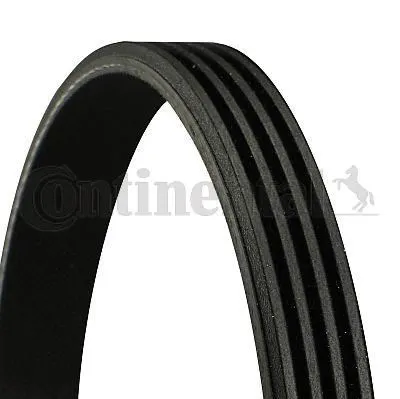 CONTITECH ALTERNATÖR V KAYIŞI CONTI 4PK830