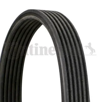 CONTITECH ALTERNATÖR V KAYIŞI CONTI 6DPK1215