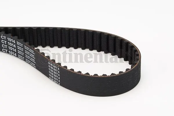CONTITECH TRİGER KAYIŞI CONTI CT1014