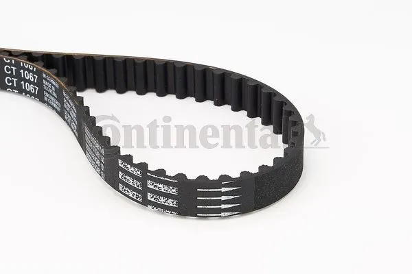 CONTITECH TRİGER KAYIŞI CONTI CT1067