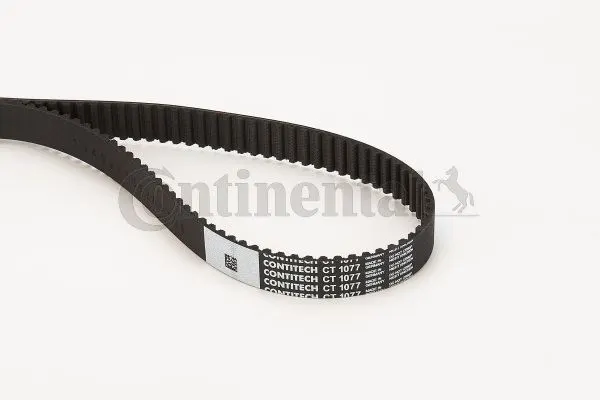 CONTITECH TRİGER KAYIŞI CONTI CT1077