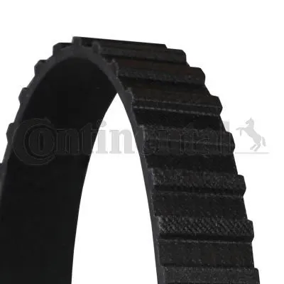 CONTITECH TRİGER KAYIŞI CONTI CT648