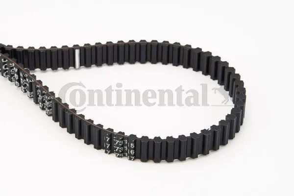 CONTITECH TRİGER KAYIŞI CONTI CT907