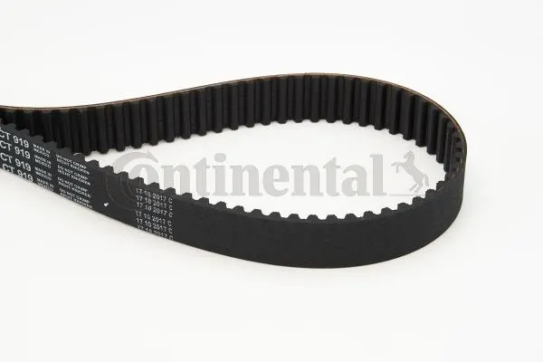 CONTITECH TRİGER KAYIŞI CONTI CT919