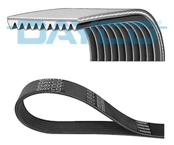 DAYCO - Ağır Vasıta ALTERNATÖR V KAYIŞI DAYCO 10PK1850HD