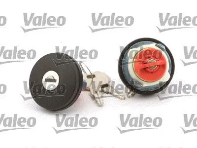 DEPO DIŞ KAPAK VALEO 247518