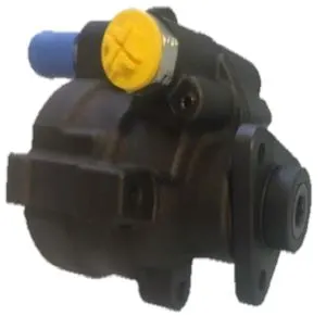 DİREKSİYON POMPASI RAMSAN 210895