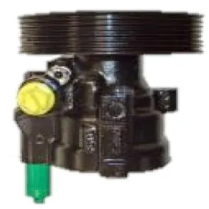 DİREKSİYON POMPASI RAMSAN 210925