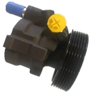 DİREKSİYON POMPASI RAMSAN 210994