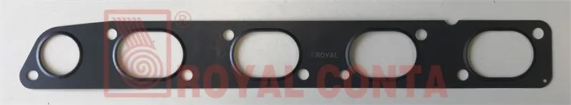 EGZOZ MANİFOLT CONTA ROYAL 423020